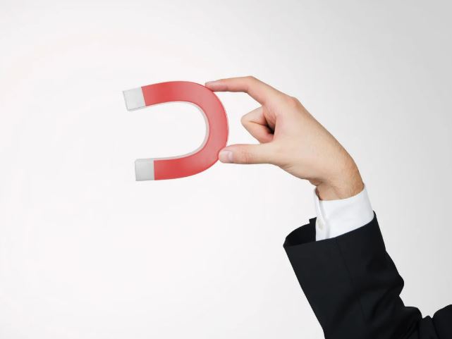 Magnet